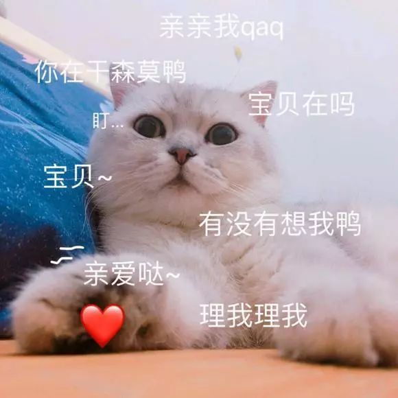 软妹子表情包:你是要讲理还是要我?