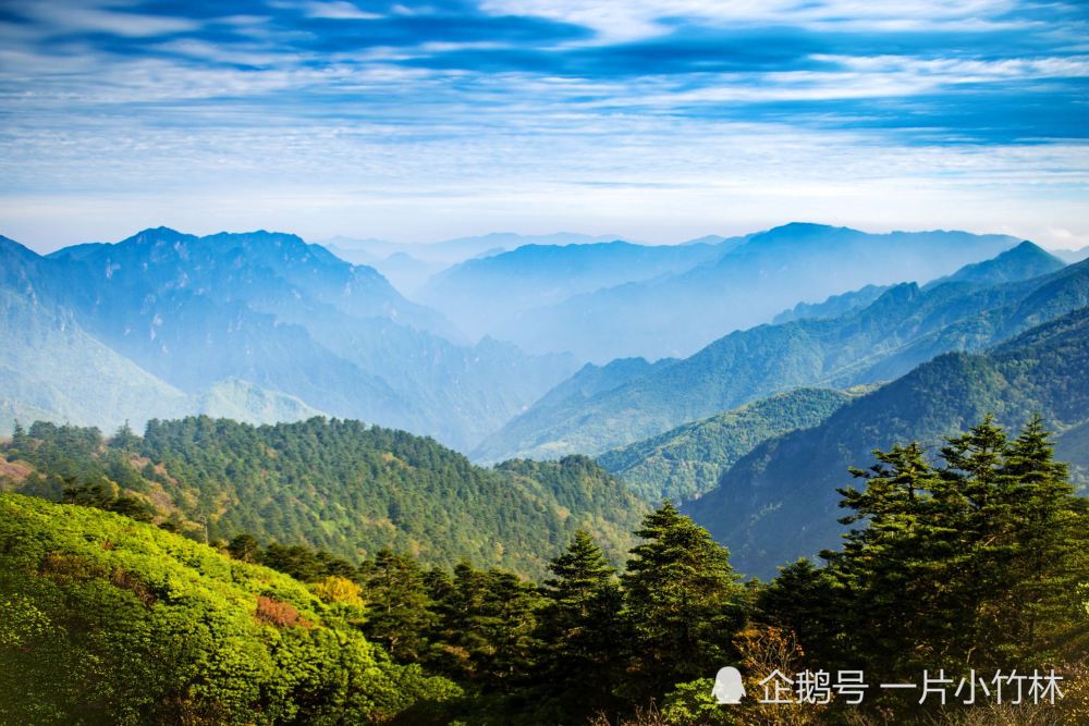 中国十大最美森林公园——神农架国家森林公园