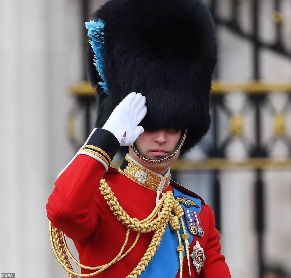 阅兵仪式一如既往地盛大,英国皇家护卫队还是如童话故事那般养眼.