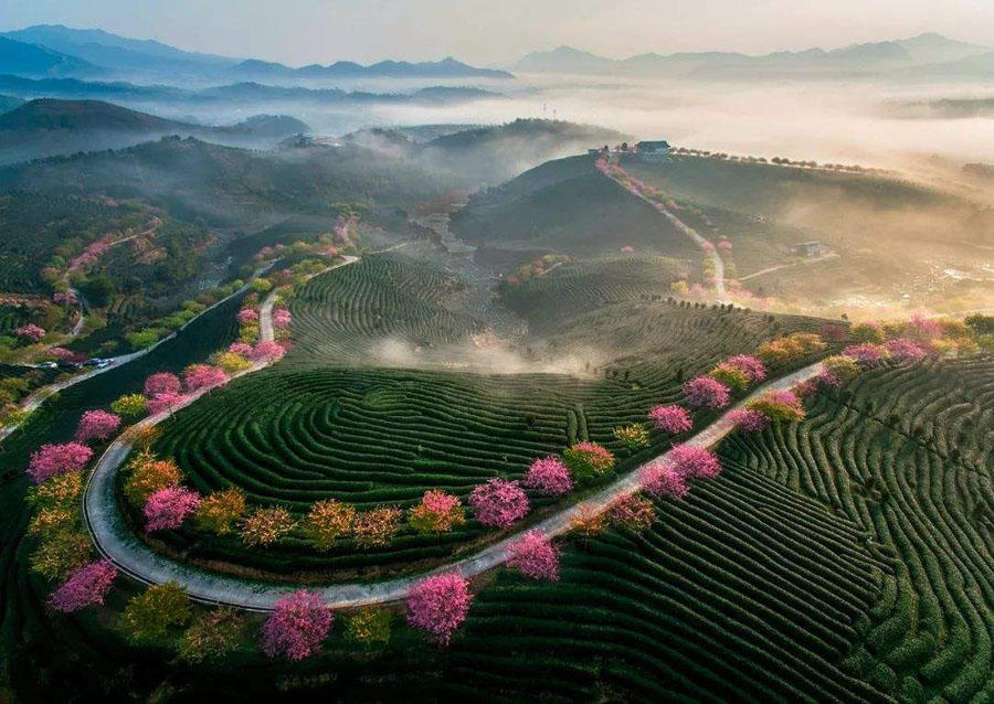 永福县人口_永福要在全国出名了(2)