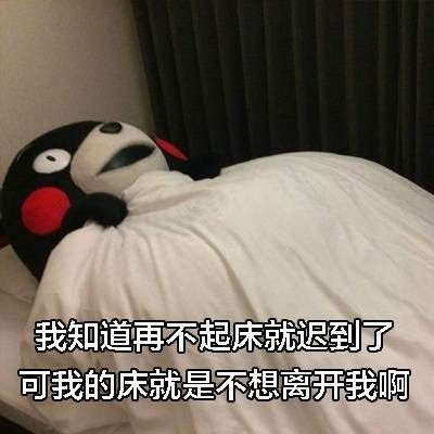 网红熊本部长搞笑表情包:我知道再不起床就迟到了,但我的床就是不想