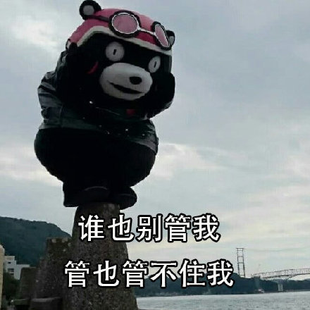网红熊本部长搞笑表情包:谁也别管我,谁也管不住我