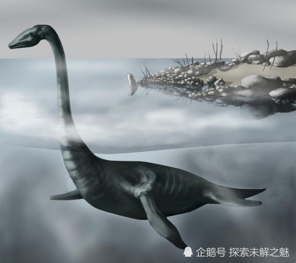 南极发现15吨重的"恐龙遗骸",已有7千万