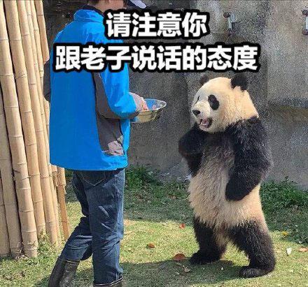 受不了这委屈