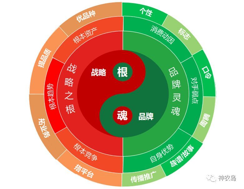 娄向鹏:战略寻根,品牌塑魂,农产品区域品牌建设的中国方案