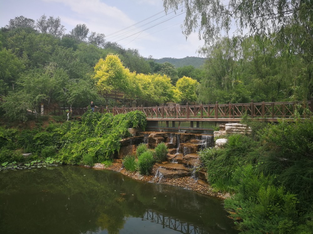 丰台这个公园,可戏水,看动物,捞小鱼,夏日遛娃必选!