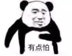 一条小团团表情包合集