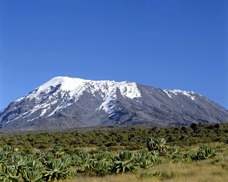 非洲最高的山峰:登山费用仅20万起步,每隔几天就有人被抬下来