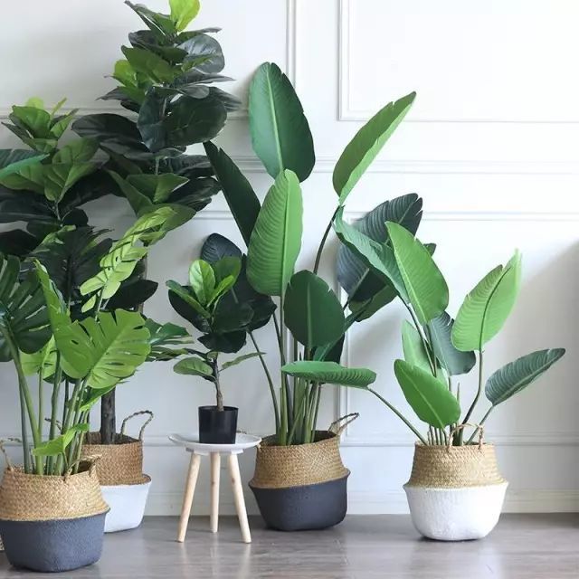 大型仿真绿植摆件