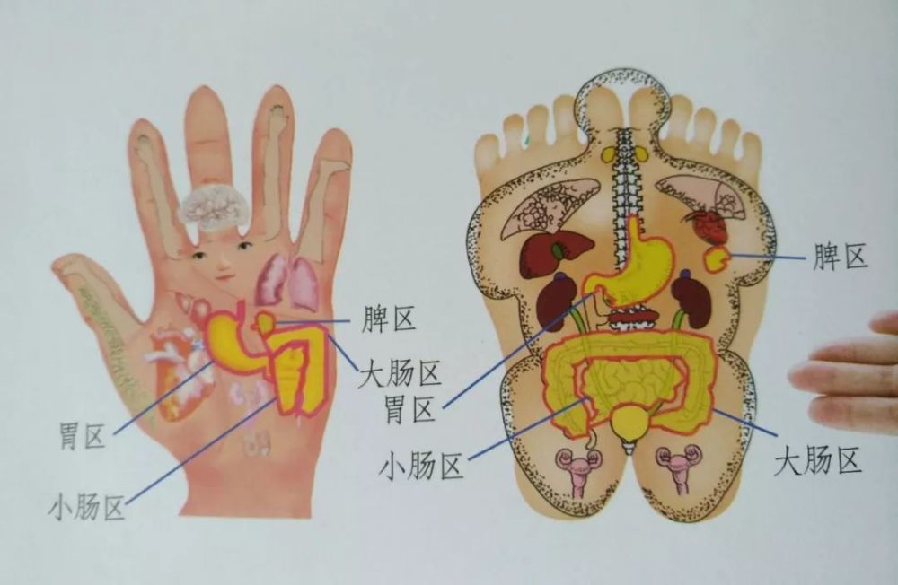 图片源自网络,如有侵权,请联系删除