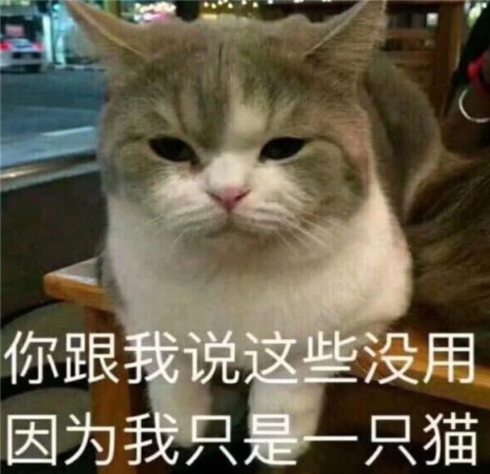 可爱猫咪搞笑表情包:都跟你说了我是直男!