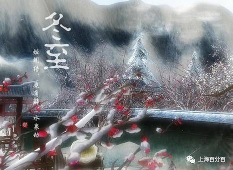 别再说吃饺子了！阿拉上海人冬至讲究的是这些！