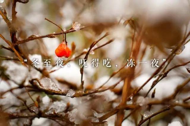 别再说吃饺子了！阿拉上海人冬至讲究的是这些！