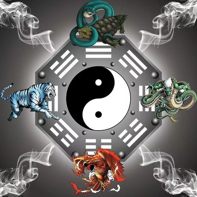 北宫玄武",因为天上的"星宿"组成了青龙,朱雀,白虎,玄武四种神兽的