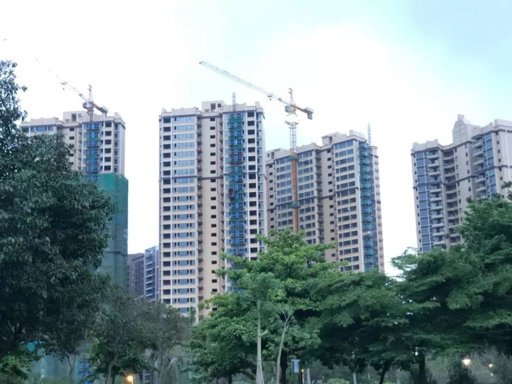 福清薛姓人口_福清光饼(3)