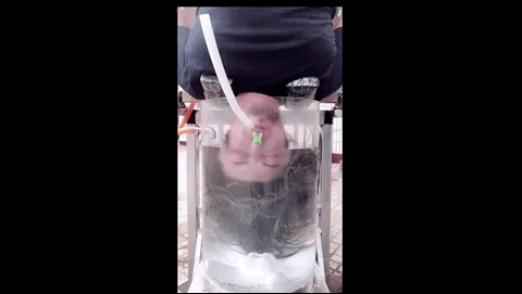 网友发明奇葩洗头机,一边洗头一边练倒立,寻止戈桥咏春