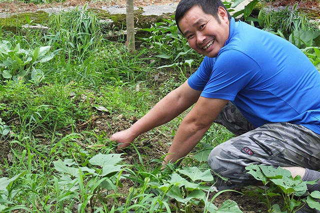 高手在民间:农民自己在家配的这种除草剂,能杀掉多种杂草