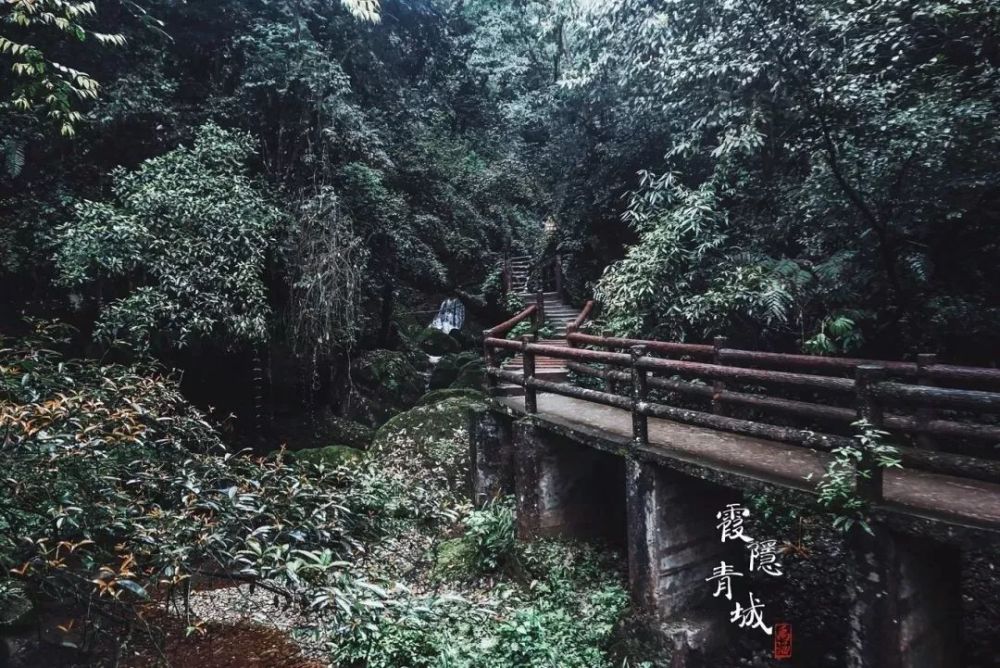 青城后山,可不只是避暑那么简单!这些景点你全知道,算