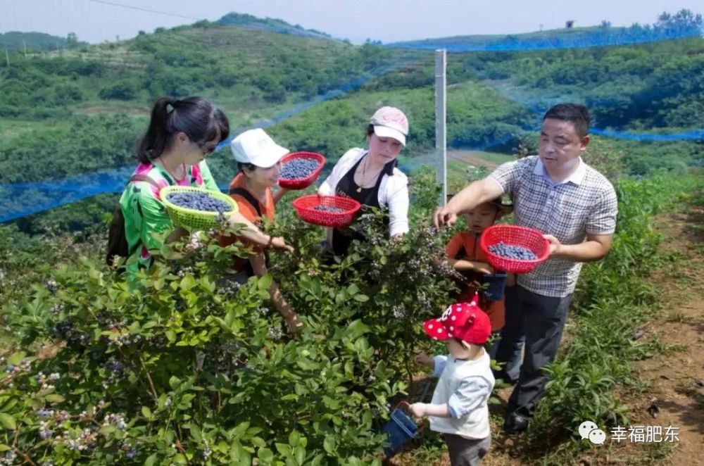 肥东县,桥头集镇