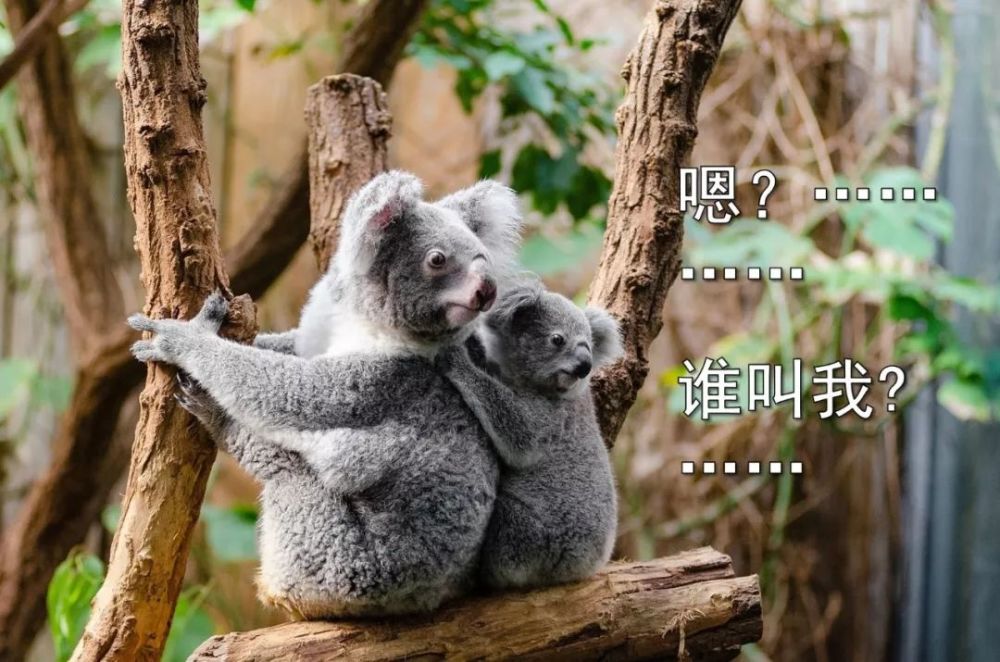 那我也只能劝你多努力了——毕竟,后天多吃辣还是有用的.