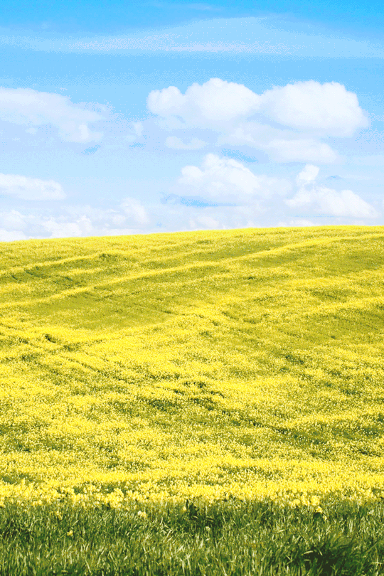 络绎不绝的梦境-看点快报