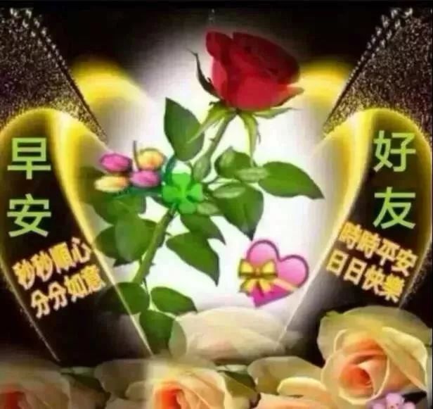 清晨问候大家早上好的漂亮鲜花图片,微信很赞的早上动画图片