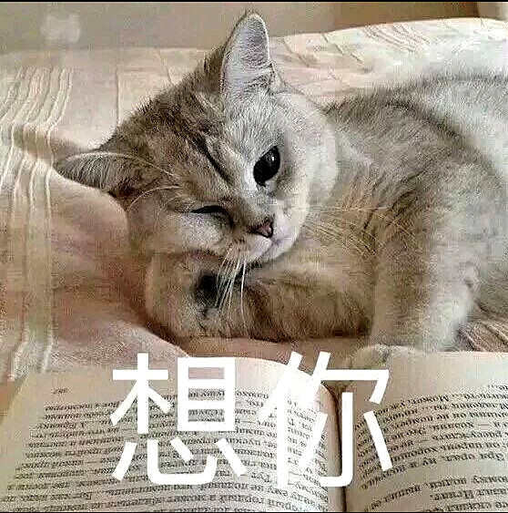 可爱 猫咪表情包 想抱抱 这里有20块钱 你去买条狗子回来吧 看点快报