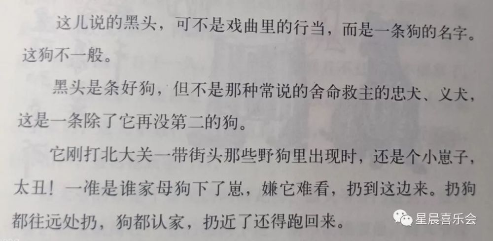 俗世奇人之"黑头"