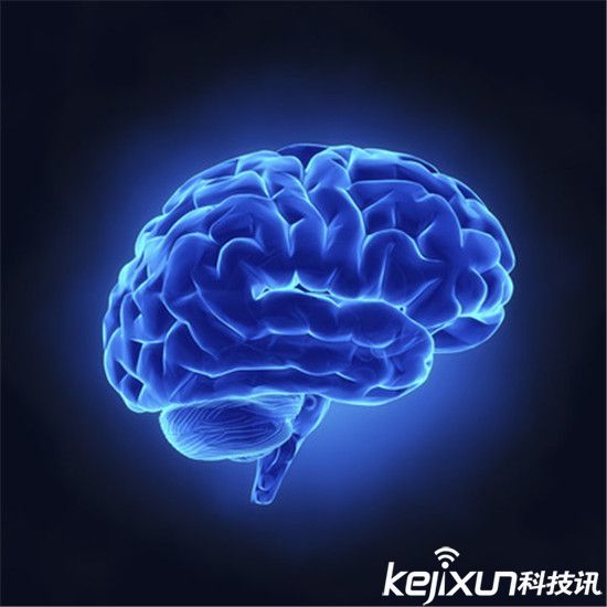 一孕傻三年真的存在吗 科学家是这样说的
