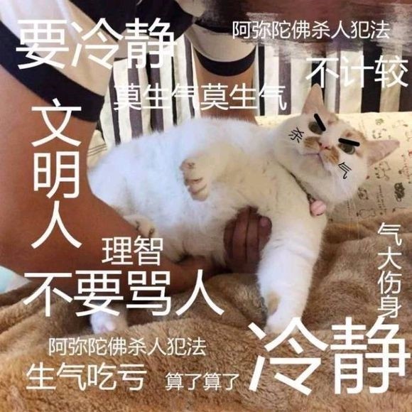 可爱猫咪搞笑表情包:冷静啊,杀人犯法,算了算了!