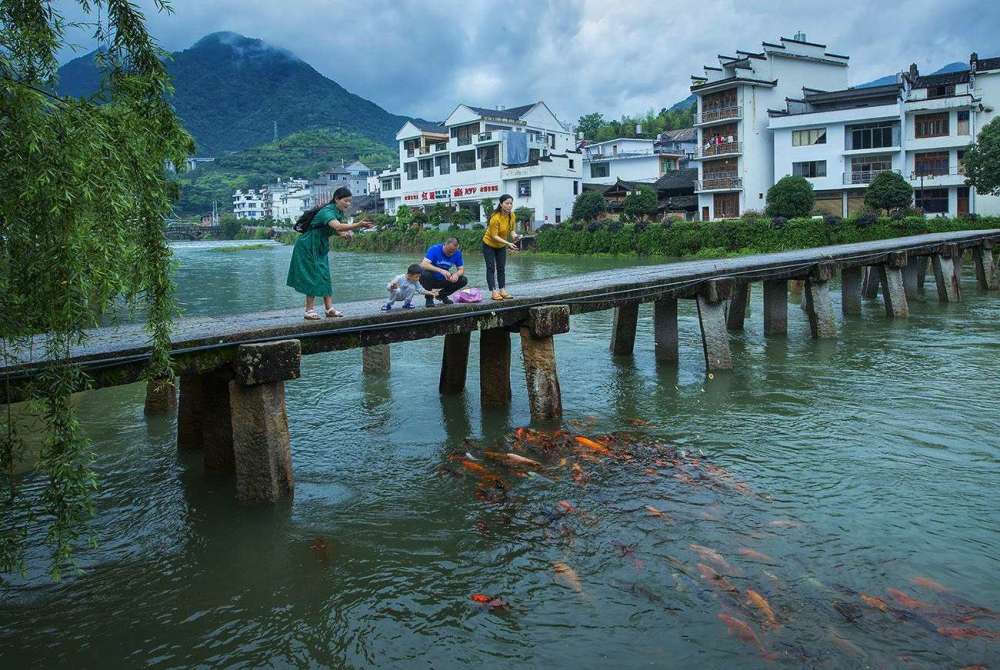 西浦村,廊桥,寿宁县,缪蟾