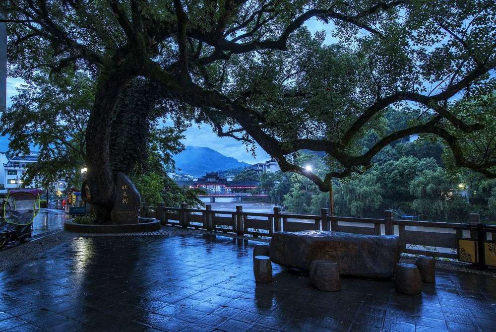 西浦村,廊桥,寿宁县,缪蟾