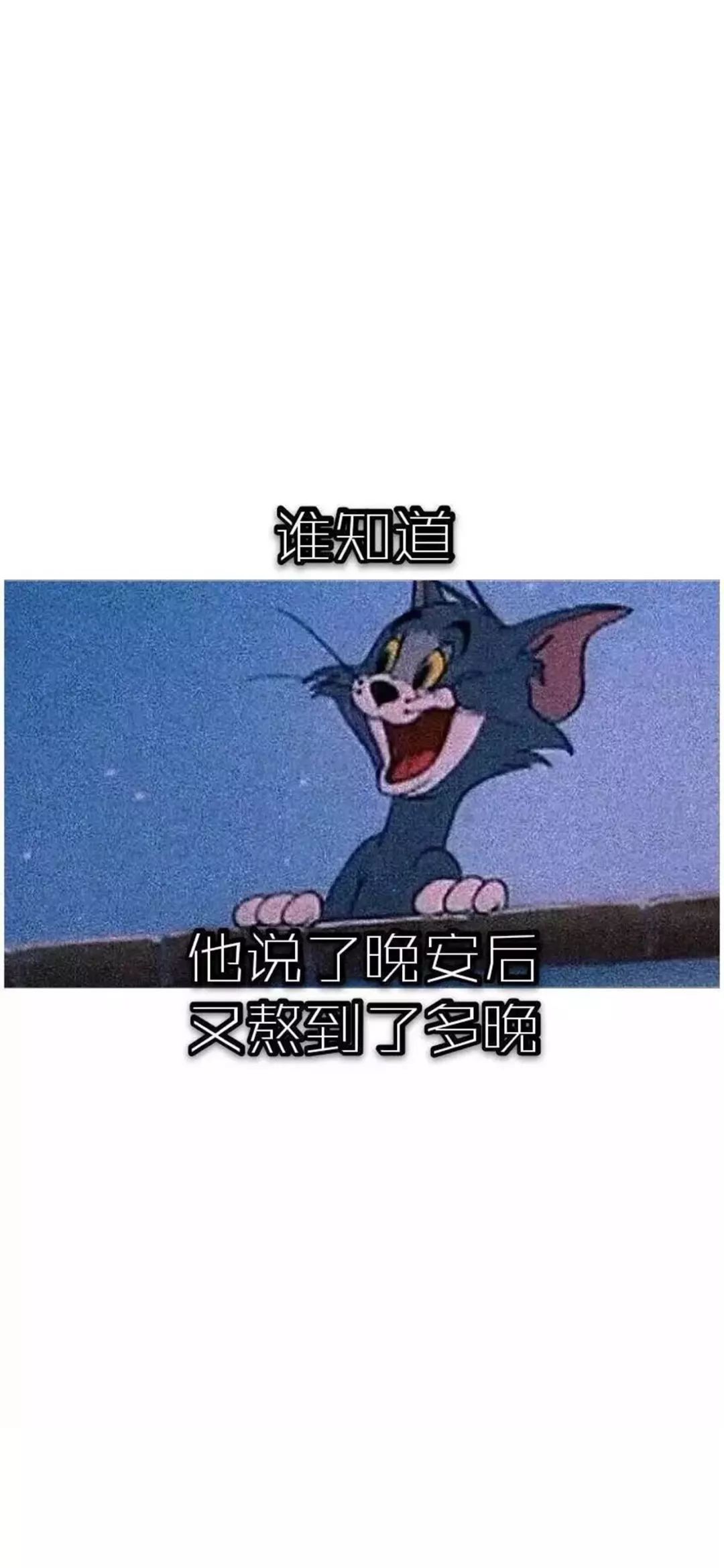 抖音超火壁纸 猫和老鼠壁纸