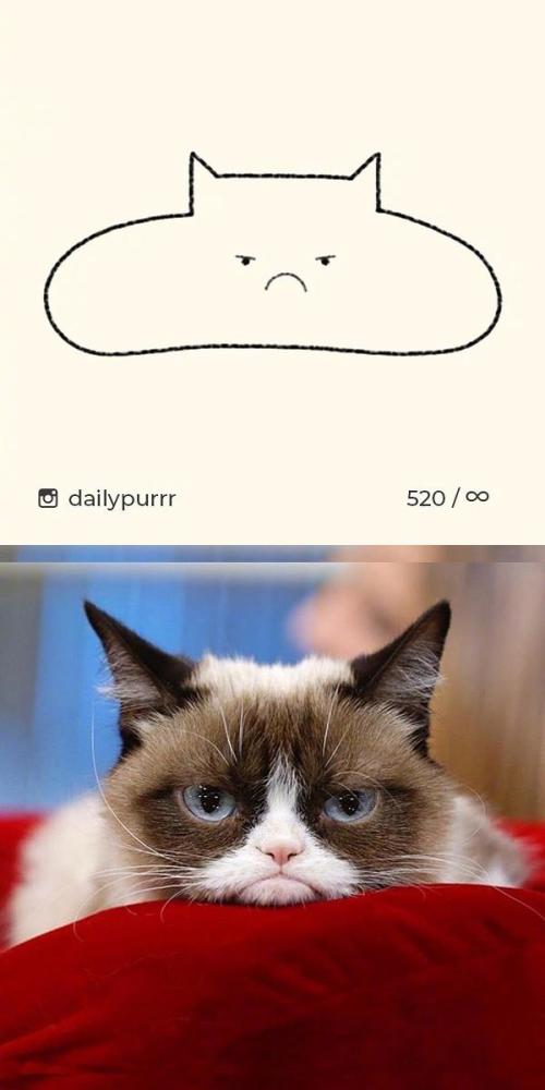 胖成一座小山的猫咪,真的不看原图,你都不知道发生了裁么.
