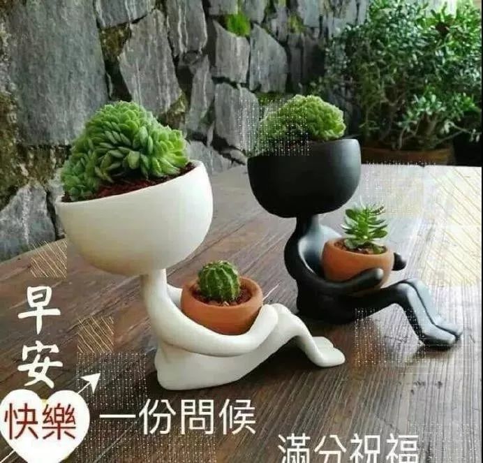 晨光