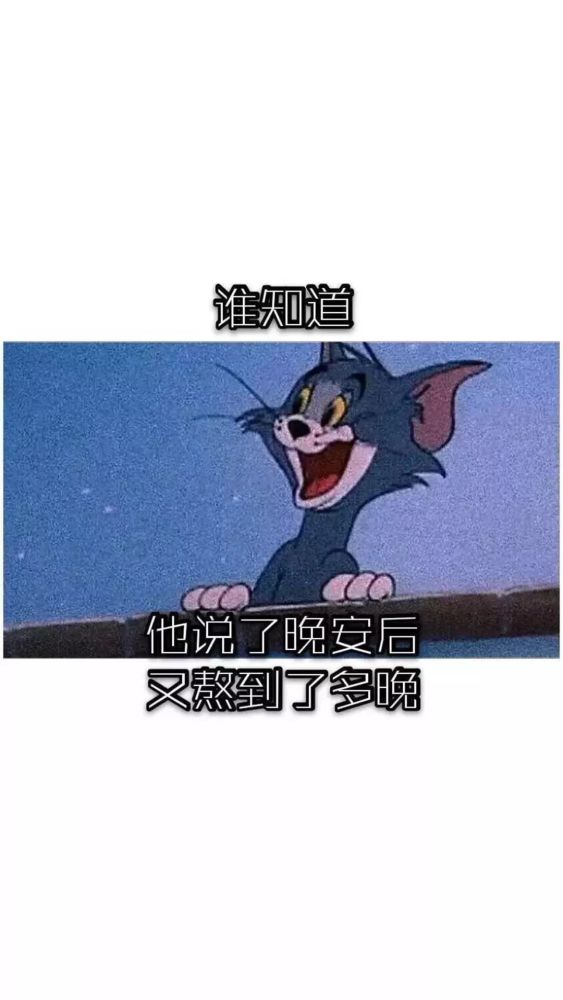 抖音超火壁纸 猫和老鼠壁纸