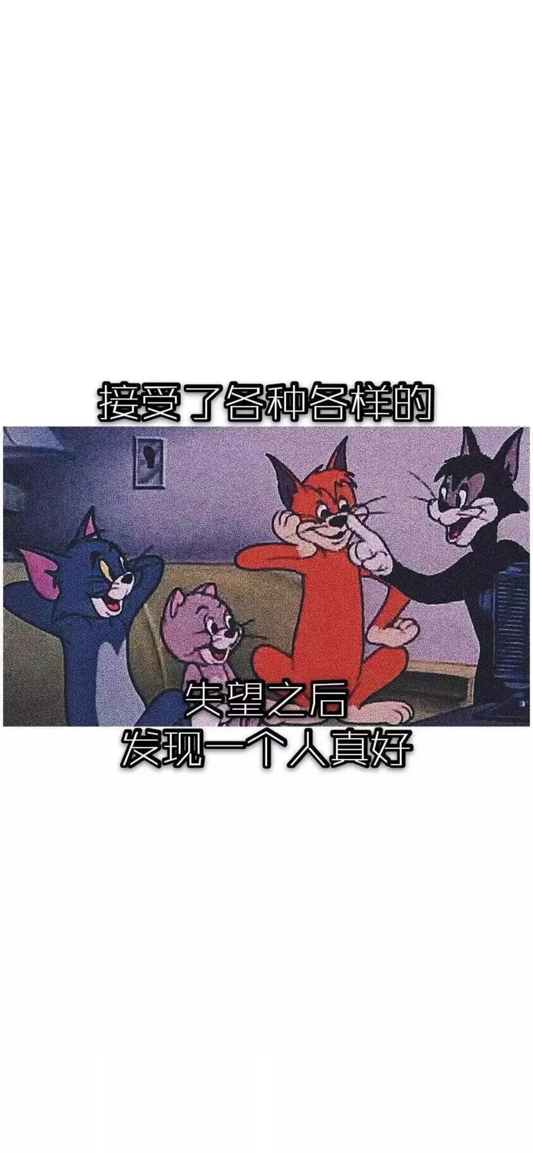 抖音超火壁纸 猫和老鼠壁纸