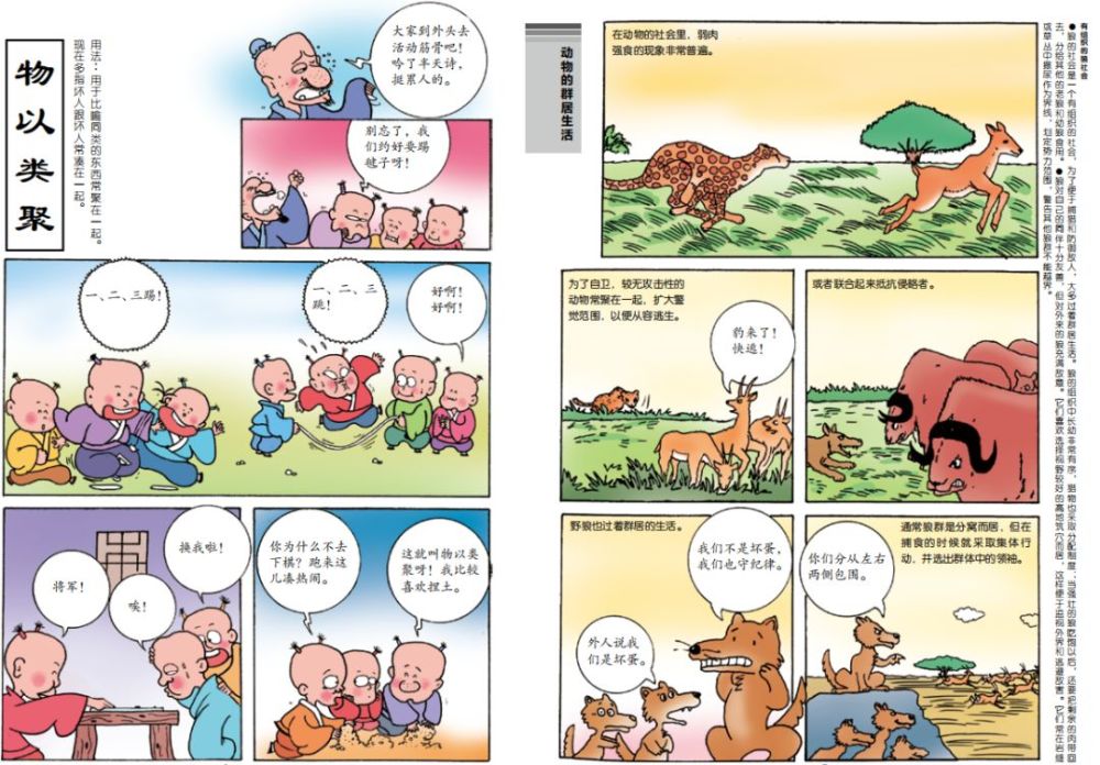 在漫画中学成语 在成语中学科学 小牛顿这套书让我大开眼界 看点快报
