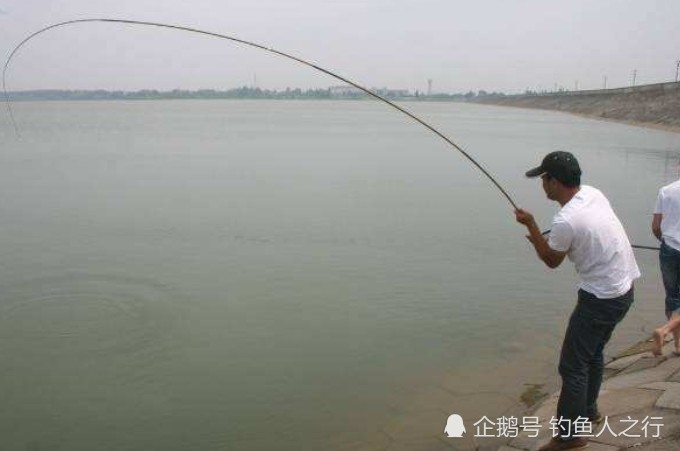 实不相瞒,夏天只要用这鲢鳙钓法,不吹不黑,一个鱼护还