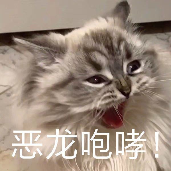 小奶猫恶龙咆哮,公主殿下可不是好惹的!可盐可甜表情包走一波!