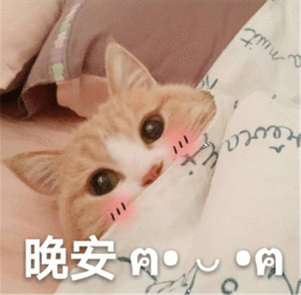 小奶猫恶龙咆哮,公主殿下可不是好惹的!可盐可甜表情包走一波!