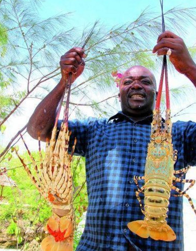 中国人在非洲,花了500块钱买了4只大龙虾,却被导游叫住!