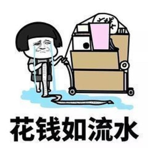 搞笑表情包:用一句话总结一下你的上半年的成就,一分钱没攒下!