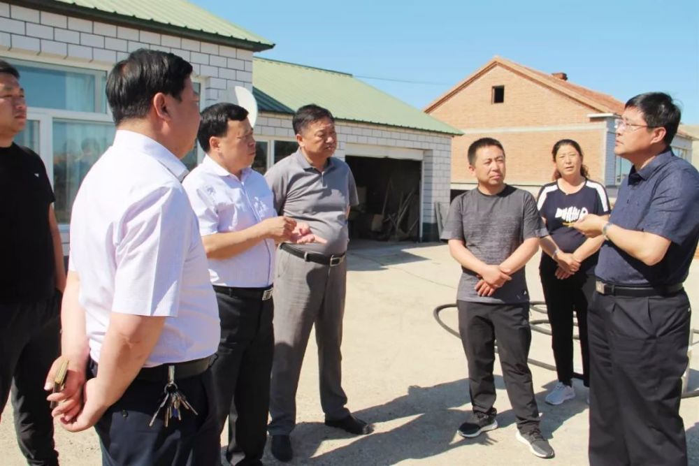 督查组,阿荣旗,王建明