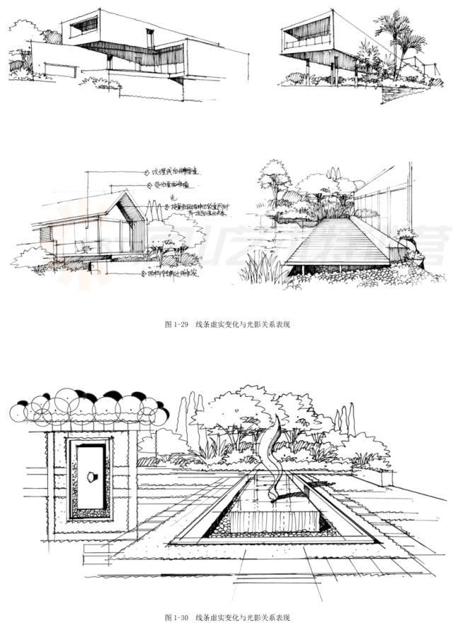 庭院,手绘,草图,景观设计