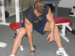 如何练好肱二头肌和肱三头肌?让你2个月拥有麒麟臂