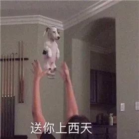 我们还有最后一招 就是用表情包送他上路 当机立断清理票圈 让烦人精