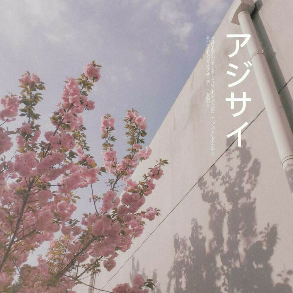 ins·治愈系·背景图:我一直觉得自己很酷,受了委屈也