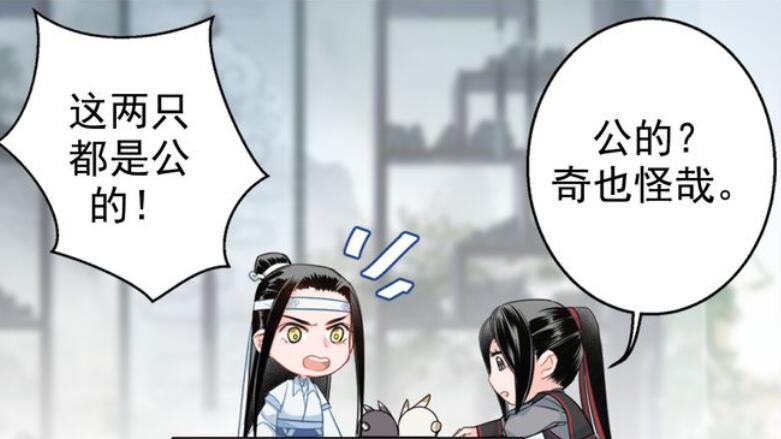 《魔道祖师》魏无羡强行给小公兔组cp,蓝忘机却发火了