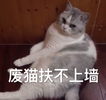 萌宠猫咪可爱表情包:废猫扶不上墙!